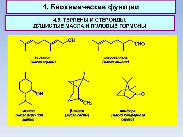 4. Биохимические функции 4. 5. ТЕРПЕНЫ И СТЕРОИДЫ. ДУШИСТЫЕ МАСЛА И ПОЛОВЫЕ ГОРМОНЫ 
