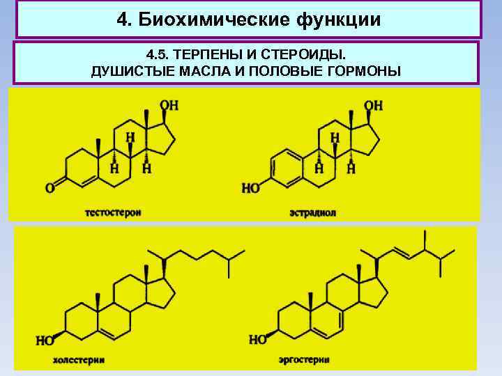 4. Биохимические функции 4. 5. ТЕРПЕНЫ И СТЕРОИДЫ. ДУШИСТЫЕ МАСЛА И ПОЛОВЫЕ ГОРМОНЫ 