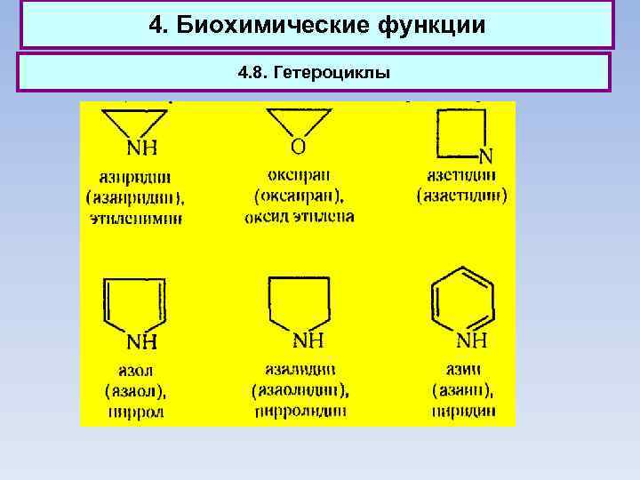 4. Биохимические функции 4. 8. Гетероциклы 