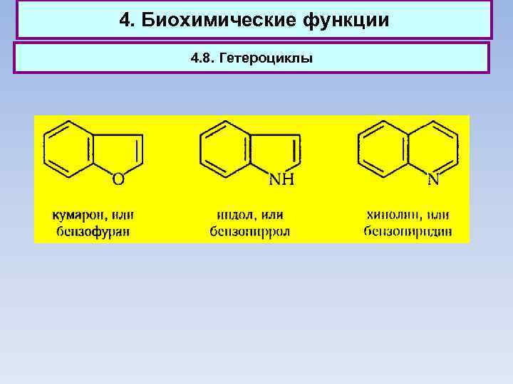 4. Биохимические функции 4. 8. Гетероциклы 