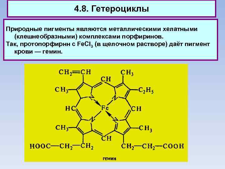 4. 8. Гетероциклы Природные пигменты являются металлическими хелатными (клешнеобразными) комплексами порфиринов. Так, протопорфирнн с