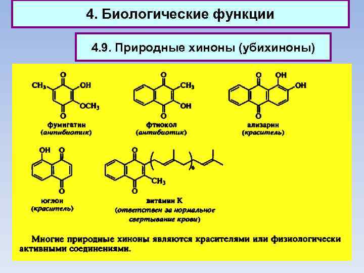 4. Биологические функции 4. 9. Природные хиноны (убихиноны) 