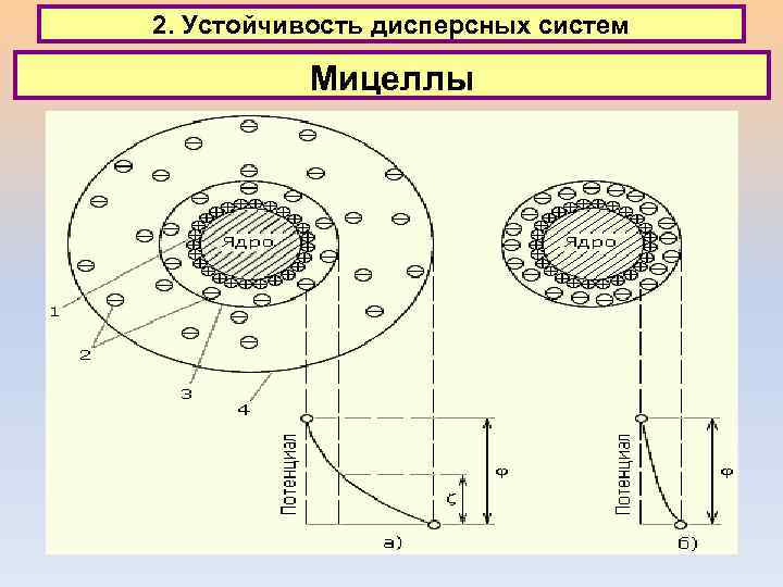 2. Устойчивость дисперсных систем Мицеллы 