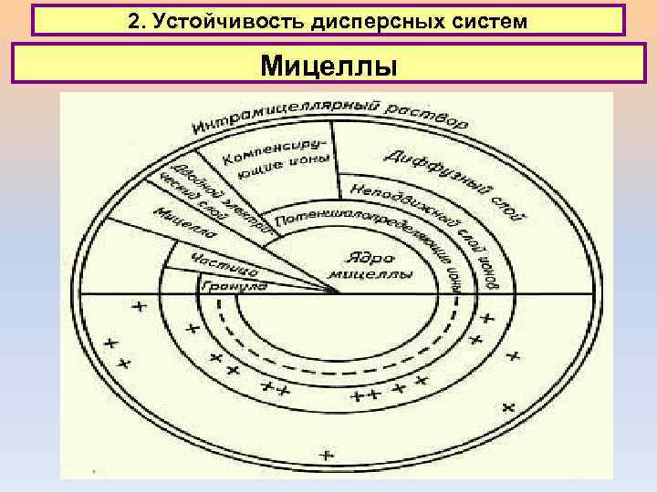 2. Устойчивость дисперсных систем Мицеллы 