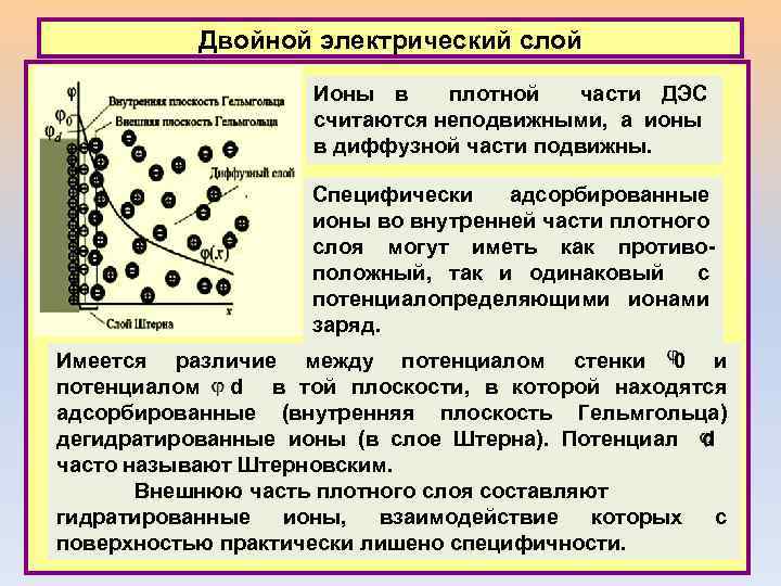 Двойной электрический слой Ионы в плотной части ДЭС считаются неподвижными, а ионы в диффузной