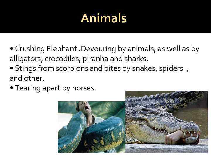 Animals • Crushing Elephant. Devouring by animals, as well as by alligators, crocodiles, piranha