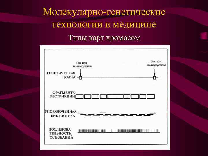 Молекулярно-генетические технологии в медицине Типы карт хромосом 