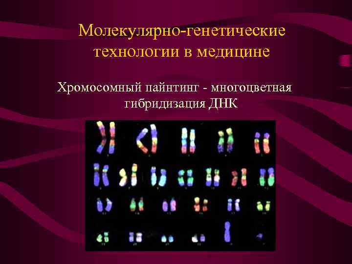 Молекулярно-генетические технологии в медицине Хромосомный пайнтинг - многоцветная гибридизация ДНК 