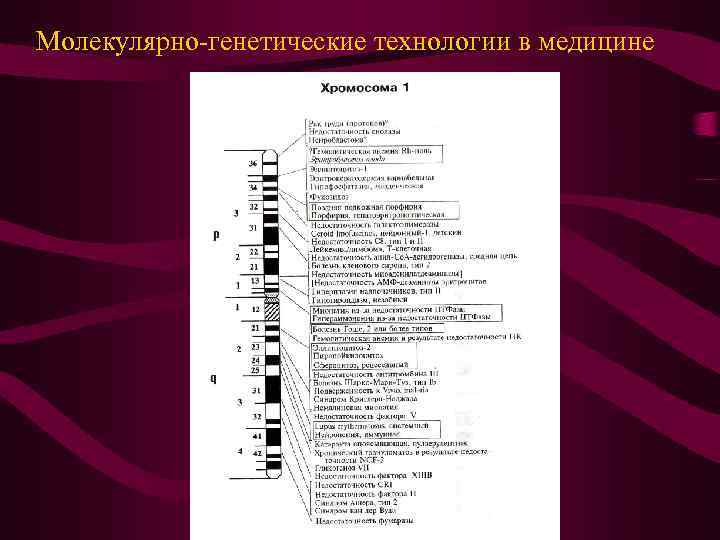 Молекулярно-генетические технологии в медицине 