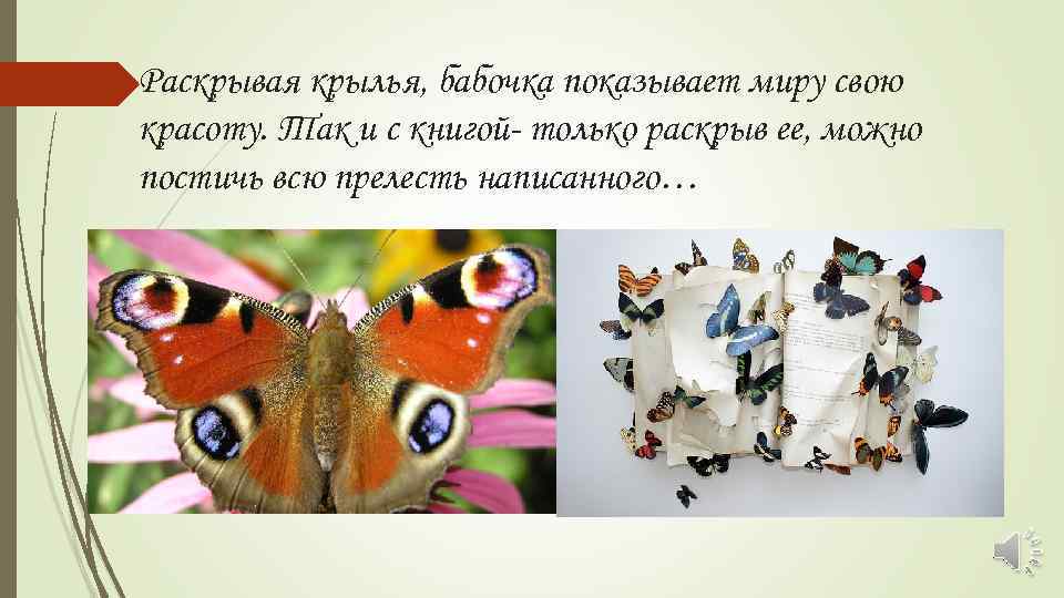 Раскрывая крылья, бабочка показывает миру свою красоту. Так и с книгой- только раскрыв ее,