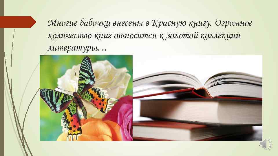 Многие бабочки внесены в Красную книгу. Огромное количество книг относится к золотой коллекции литературы…