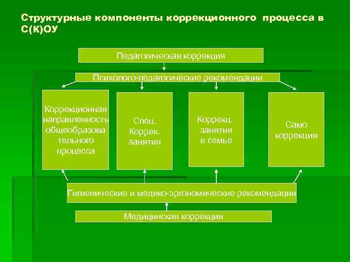 Структурные компоненты коррекционного процесса в С(К)ОУ Педагогическая коррекция Психолого-педагогические рекомендации Коррекционная направленность общеобразова тельного