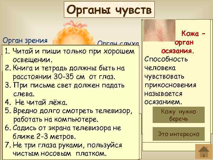 Органы чувств Кожа – Нос Язык Глаза –– Уши Орган зрения орган вкуса. орган