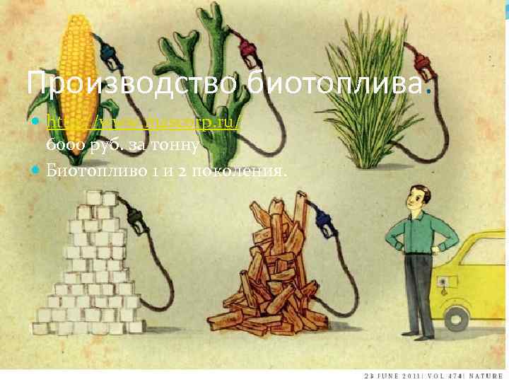 Производство биотоплива. http: //www. mascorp. ru/ 6000 руб. за тонну Биотопливо 1 и 2