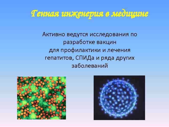 Генная инженерия в медицине Активно ведутся исследования по разработке вакцин для профилактики и лечения