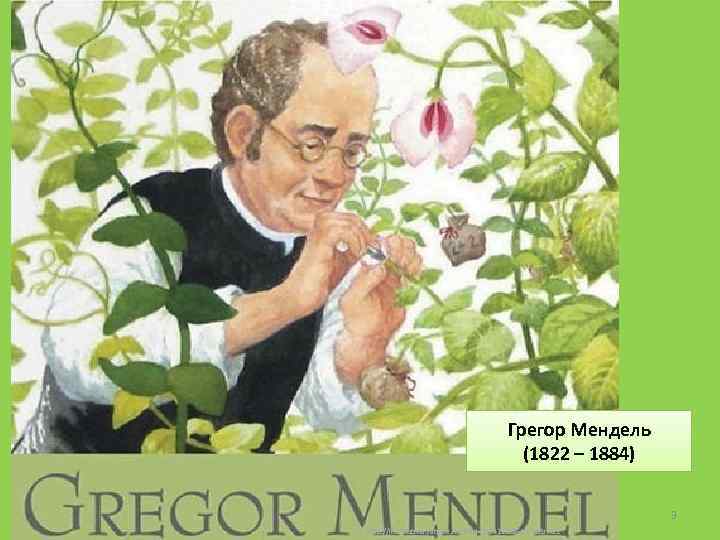 Грегор Мендель (1822 – 1884) 3 http: //im 2 -tub-ru. yandex. net/i? id=267411188 -13