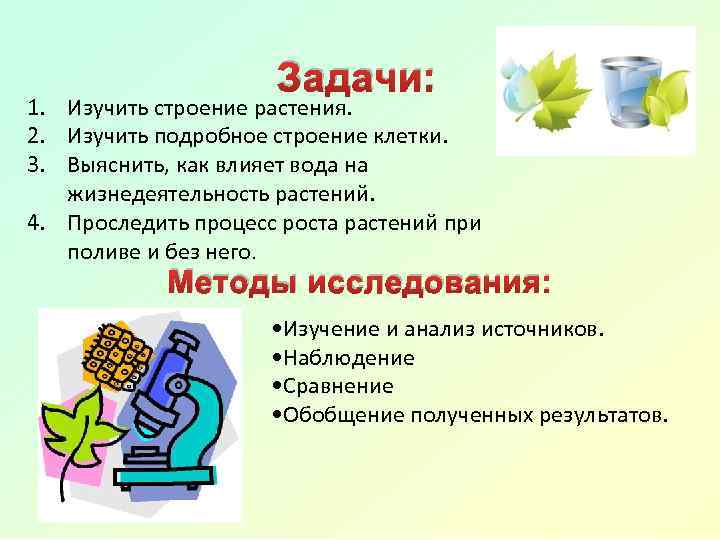 Задачи: 1. Изучить строение растения. 2. Изучить подробное строение клетки. 3. Выяснить, как влияет