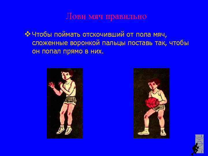 Лови мяч правильно v Чтобы поймать отскочивший от пола мяч, сложенные воронкой пальцы поставь