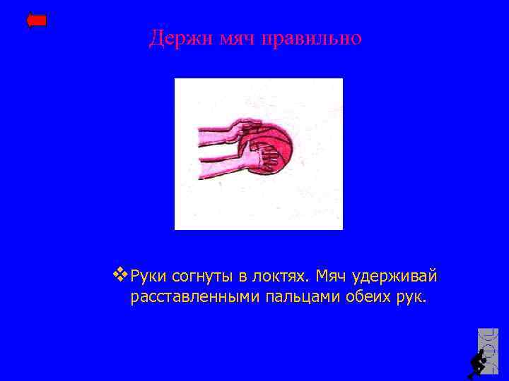 Держи мяч правильно v Руки согнуты в локтях. Мяч удерживай расставленными пальцами обеих рук.