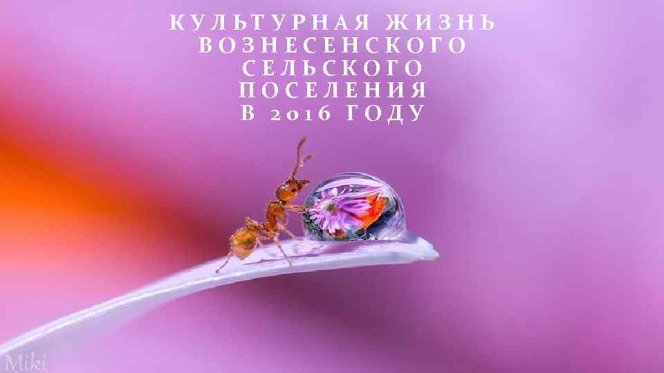 КУЛЬТУРНАЯ ЖИЗНЬ ВОЗНЕСЕНСКОГО СЕЛЬСКОГО ПОСЕЛЕНИЯ В 2016 ГОДУ 