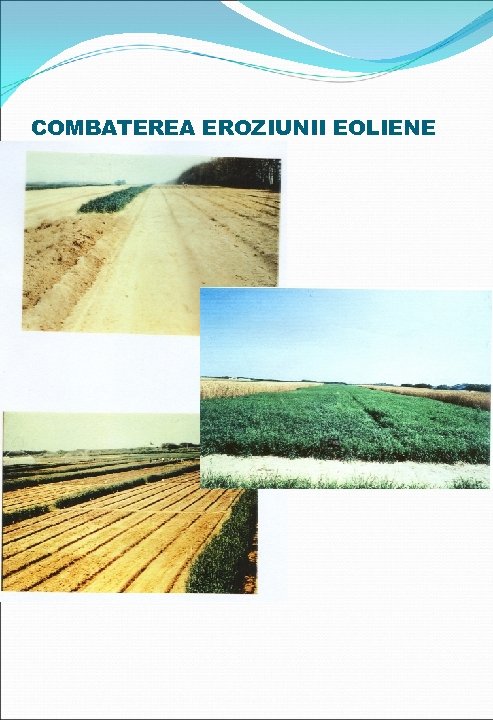 COMBATEREA EROZIUNII EOLIENE 