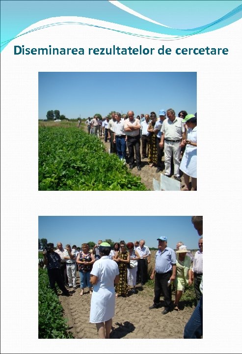 Diseminarea rezultatelor de cercetare 