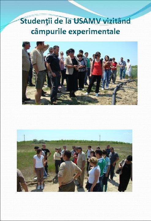 Studenţii de la USAMV vizitând câmpurile experimentale 