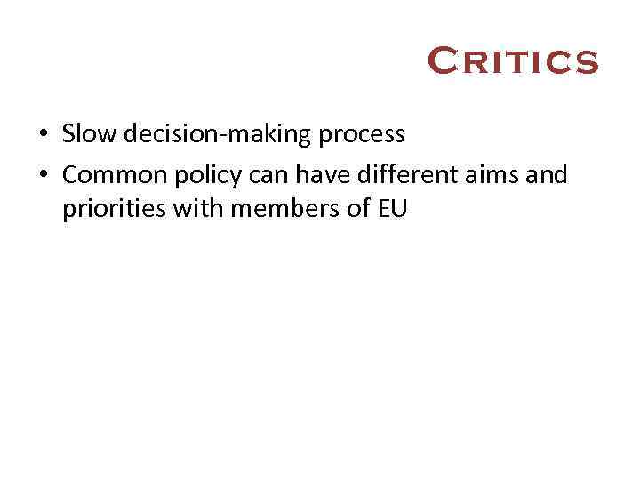 Critics • Slow decision-making process • Common policy can have different aims and priorities