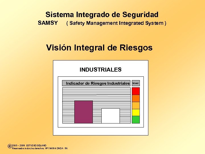Sistema Integrado de Seguridad SAMSY ( Safety Management Integrated System ) Visión Integral de