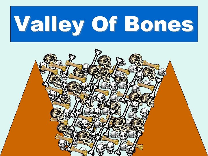 Valley Of Bones 