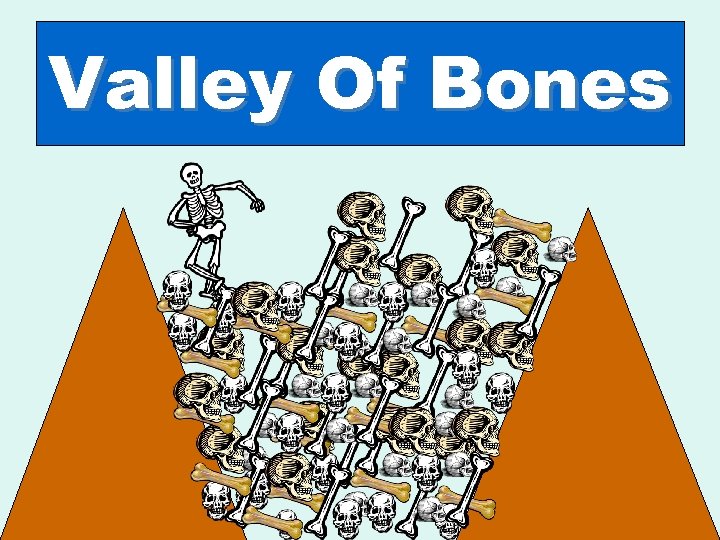 Valley Of Bones 