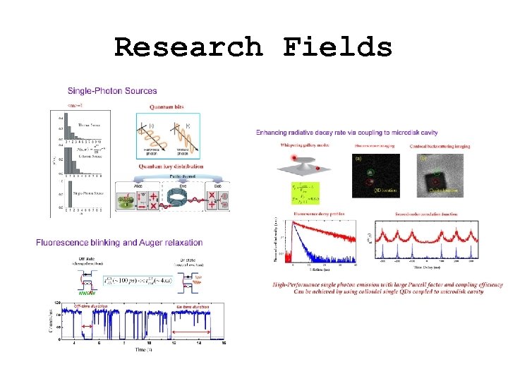 Research Fields 