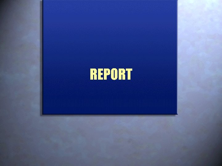 REPORT 