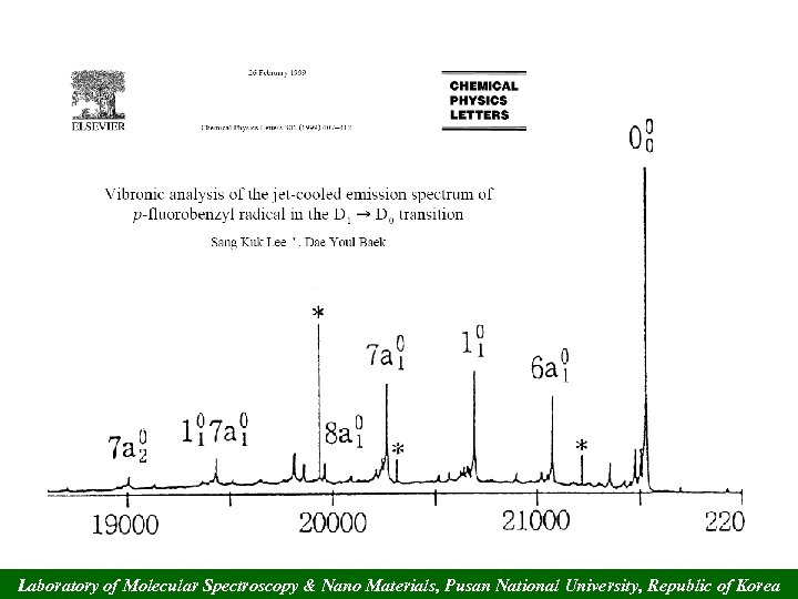 Laboratory of Molecular Spectroscopy & Nano Materials, Pusan National University, Republic of Korea 