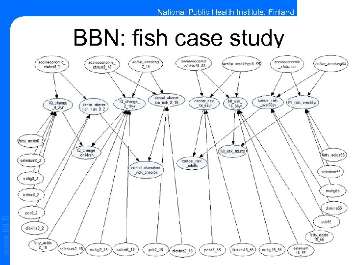 National Public Health Institute, Finland www. ktl. fi BBN: fish case study 