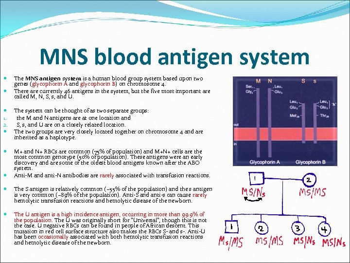 MNS blood antigen system The MNS antigen system is a human blood group system