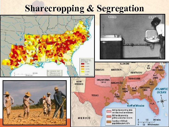 Sharecropping & Segregation 