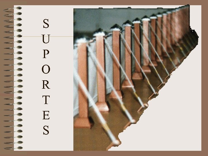 S U P O R T E S 