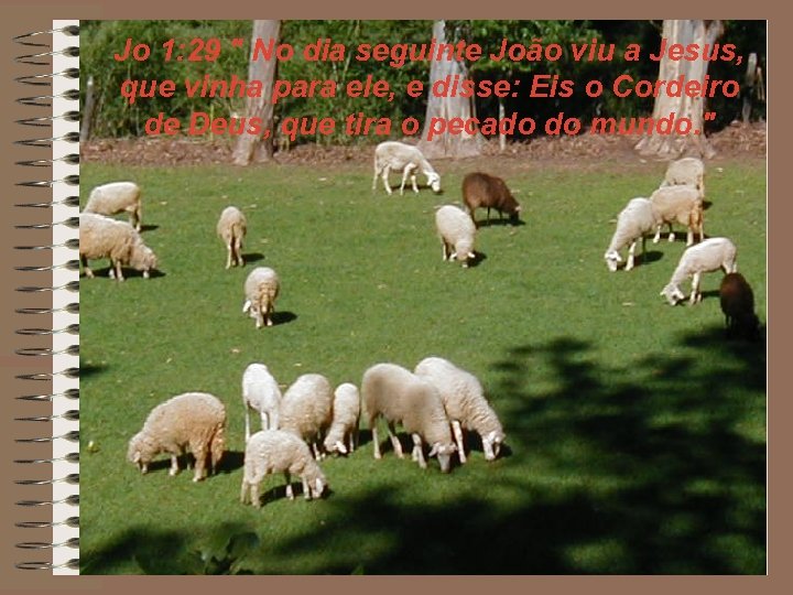 Jo 1: 29 " No dia seguinte João viu a Jesus, que vinha para