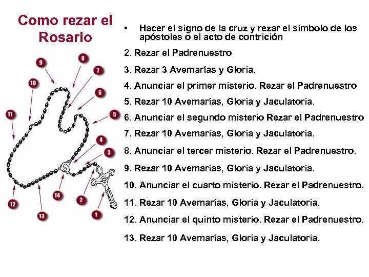 Como rezar el Rosario • Hacer el signo de la cruz y rezar el