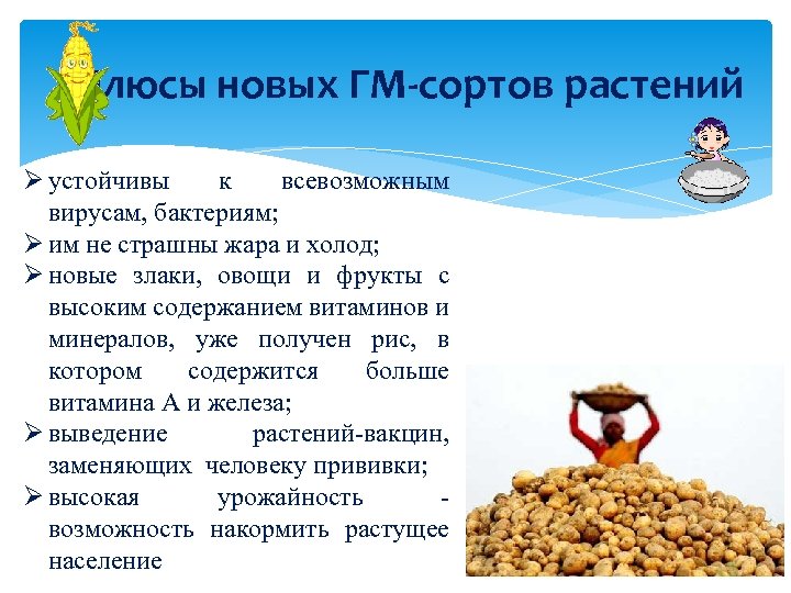 Плюсы новых ГМ-сортов растений Ø устойчивы к всевозможным вирусам, бактериям; Ø им не страшны