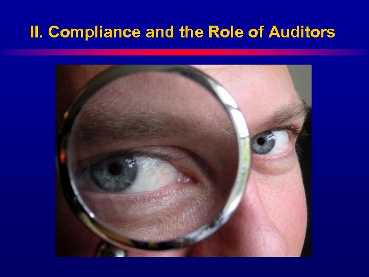 II. Compliance and the Role of Auditors 