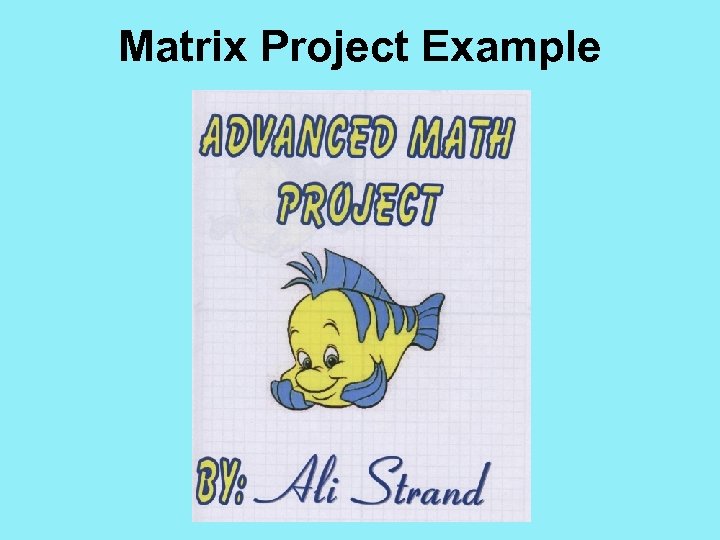 Matrix Project Example 
