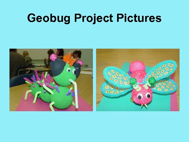 Geobug Project Pictures 