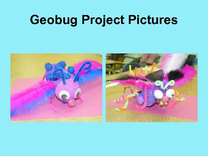 Geobug Project Pictures 