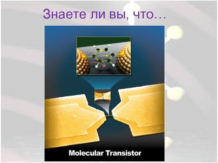 Знаете ли вы, что… 