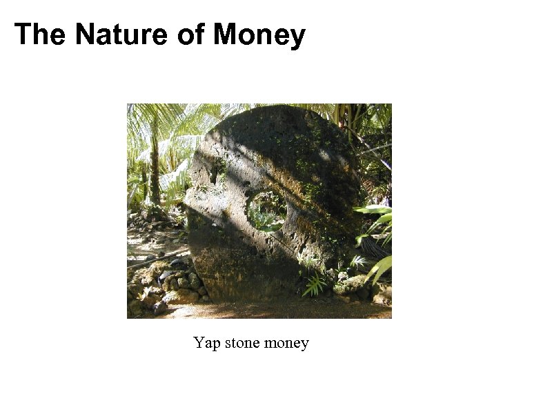 The Nature of Money Yap stone money 