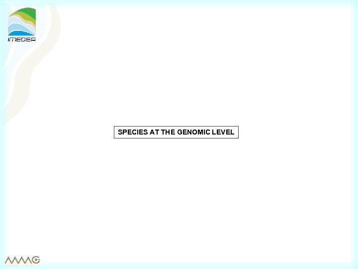 SPECIES AT THE GENOMIC LEVEL 