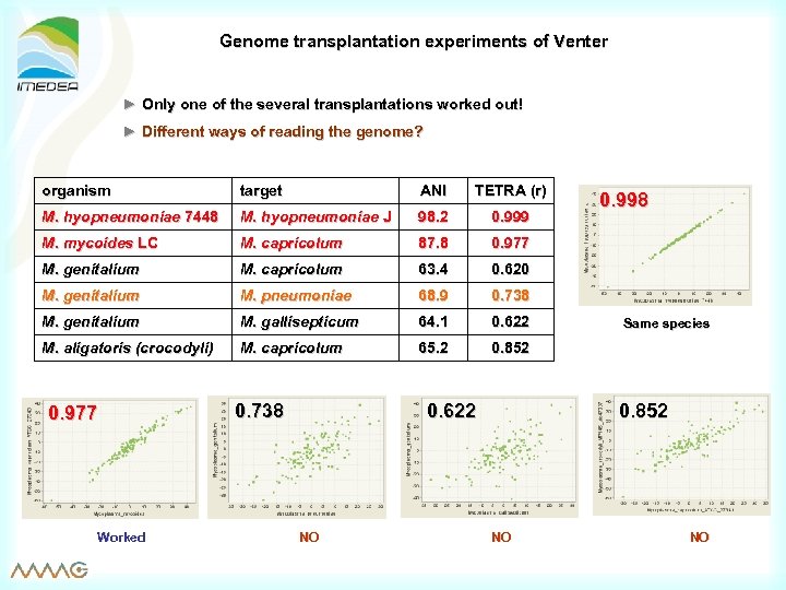 Genome transplantation experiments of Venter ► Only one of the several transplantations worked out!