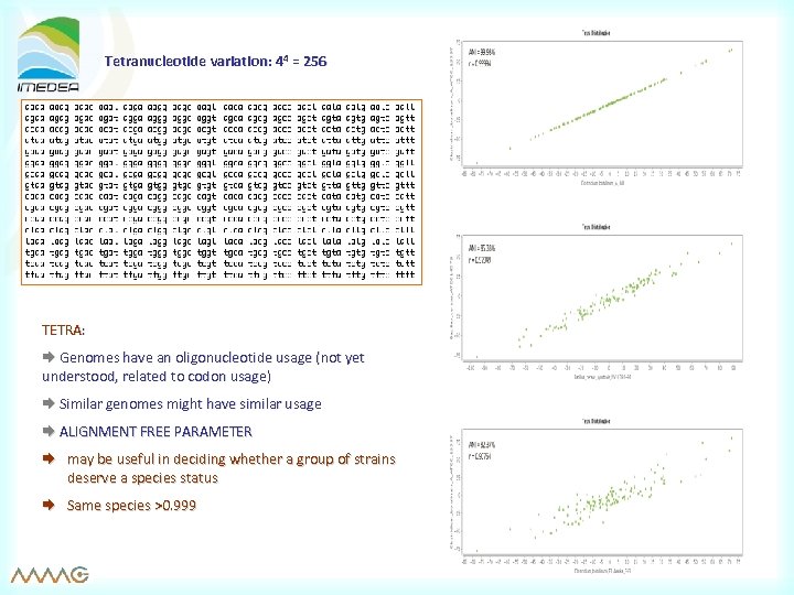 Tetranucleotide variation: 44 = 256 TETRA: Genomes have an oligonucleotide usage (not yet understood,